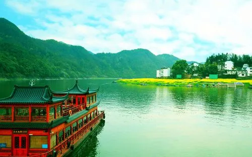 先进智慧高端